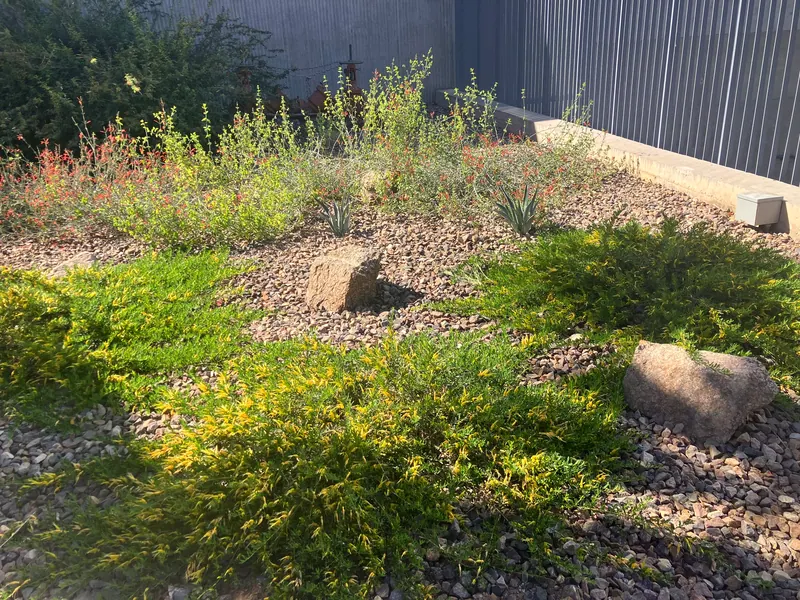 開闊視野風格花園實景，第 10 張
