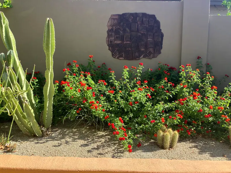 雕塑風格花園實景，第 5 張