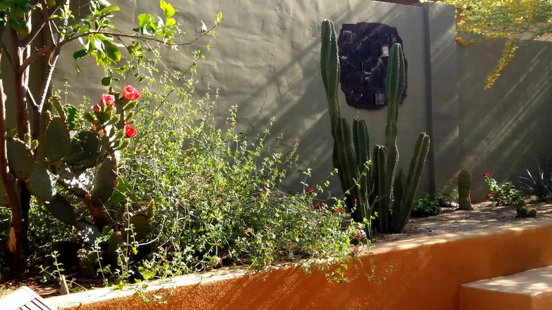 柔美綠蔭風格花園實景，第 1 張