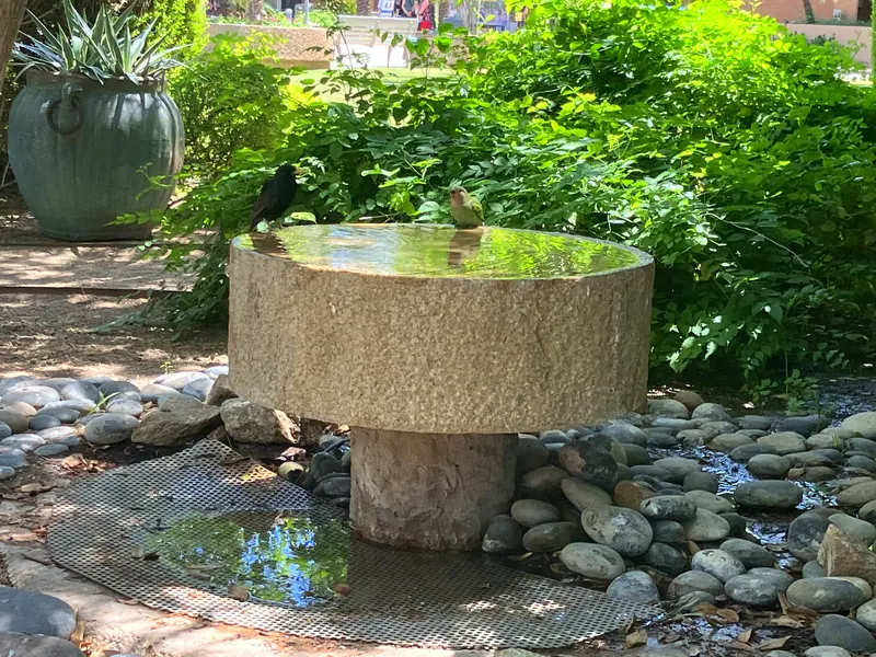 柔美綠蔭風格花園實景，第 10 張