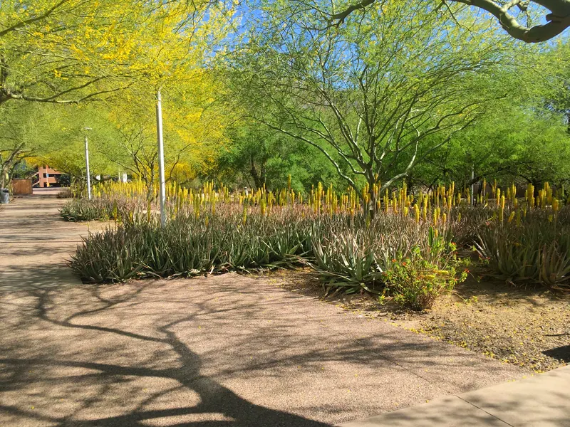 尖葉風格花園實景，第 5 張